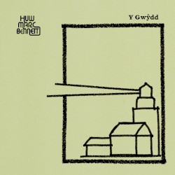 Y Gwydd (radio edit)