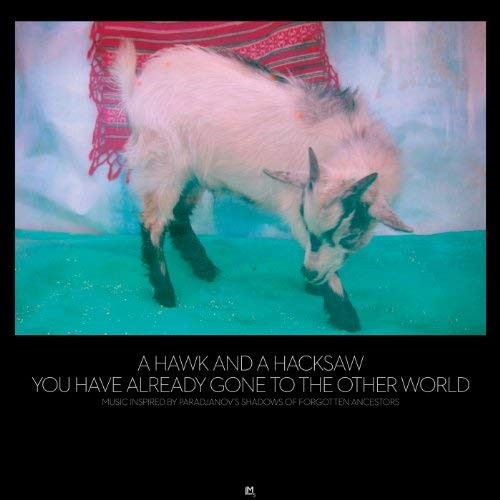 You Have Already Gone to the Other World