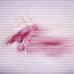 Moss and Pink