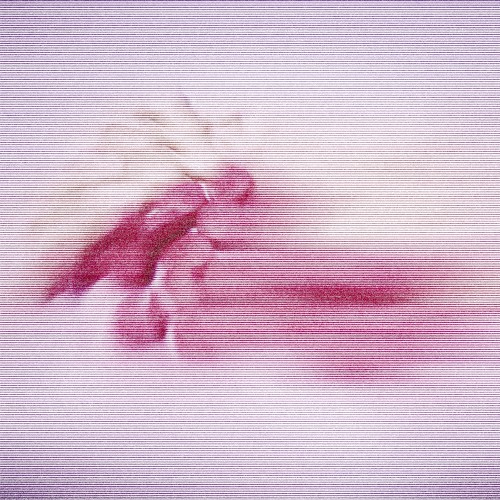 Moss and Pink