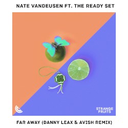 Far Away (Danny Leax & Avish remix)