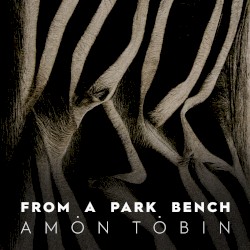 From a Park Bench