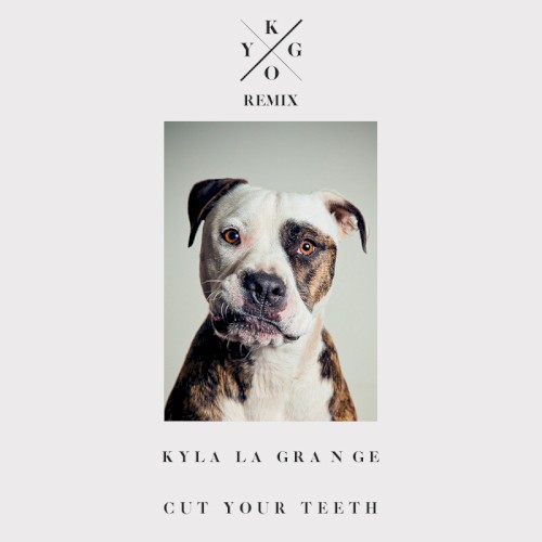 Cut Your Teeth (Kygo remix)