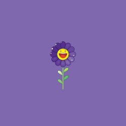 Morado