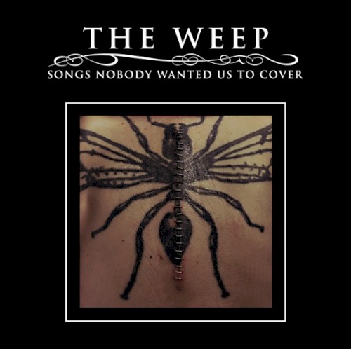 Songs Nobody Wanted Us To Cover