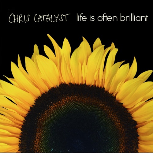 Life Is Often Brilliant - Stories