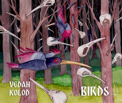 Birds