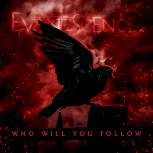 Who Will You Follow
