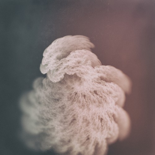 Trois