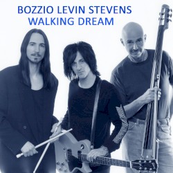Walking Dream