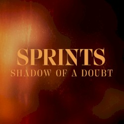 Shadow of a Doubt