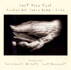 Just Your Fool