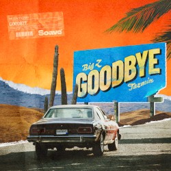 Goodbye