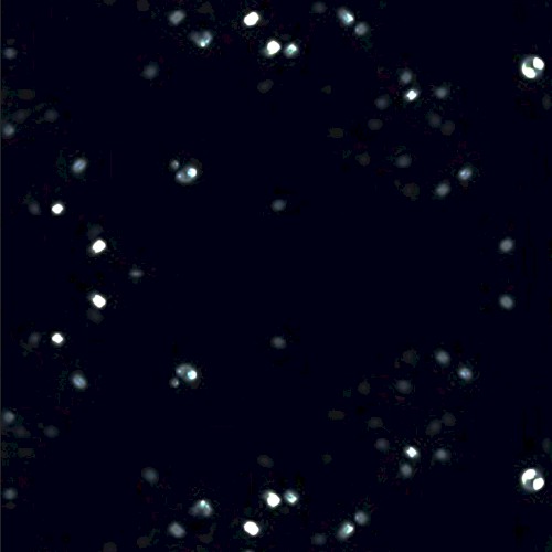 dreamdefinitive