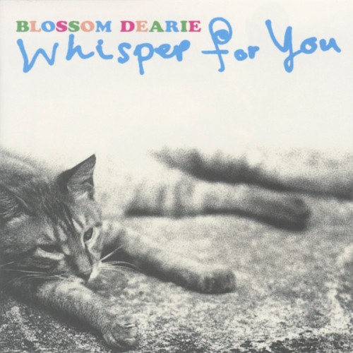Whisper for You