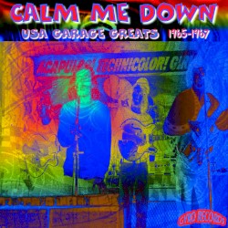 USA Garage Greats 1965–1967: Vol. 43: Calm Me Down