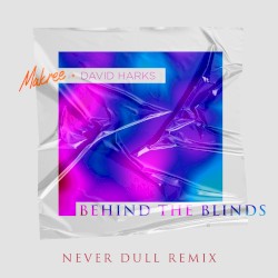 Behind the Blinds (Never Dull remix)