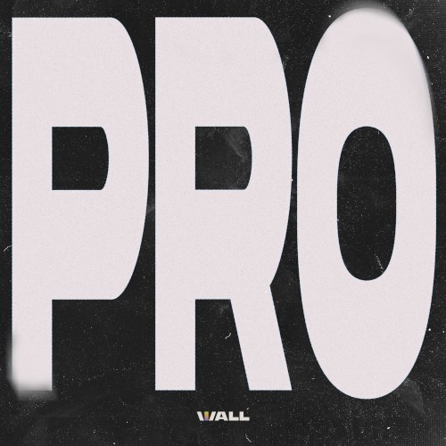 PRO