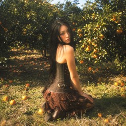 TANGERINE