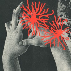 Paper Gestures