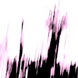 Flat Canvas
