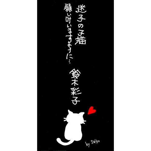 迷子の子猫