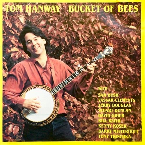 Bucket of Bees