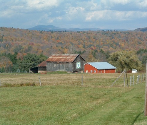 Harvest Hill