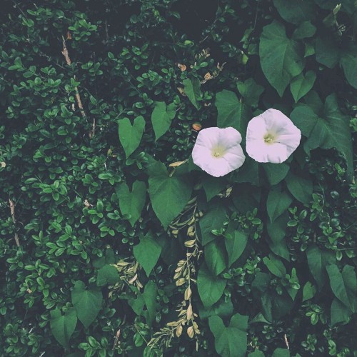 Summertime and the Living’s Easier.