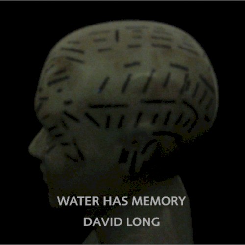 Water Has Memory