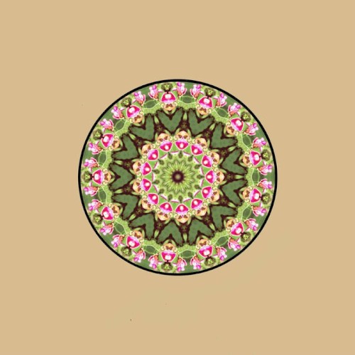 Kaleidoscopes