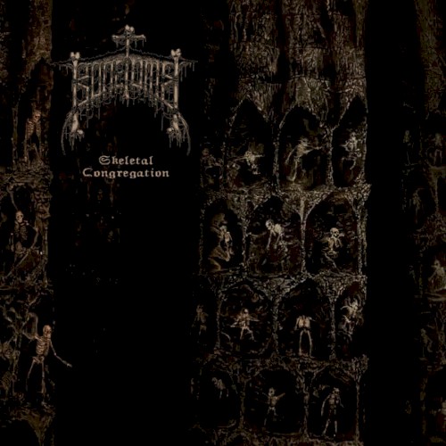 Skeletal Congregation