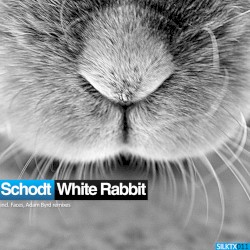 White Rabbit