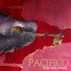 Thin Skin Remix