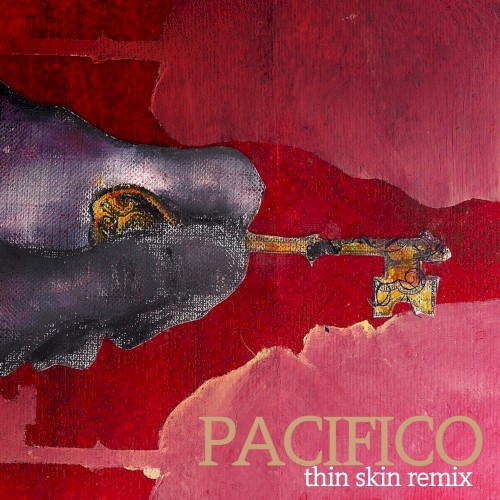 Thin Skin Remix