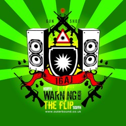 Warning Remix / The Flip