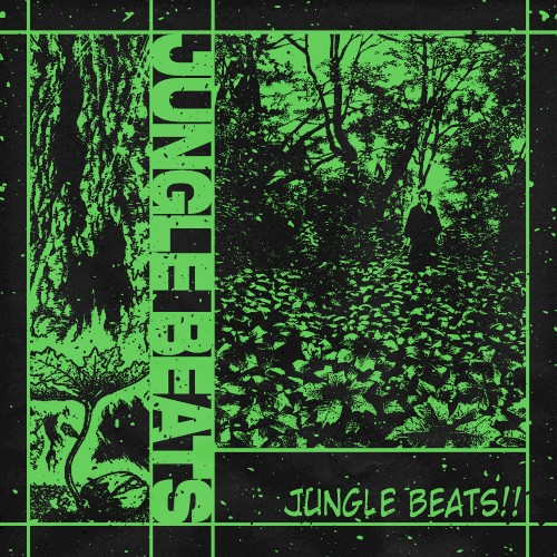JUNGLE BEATS