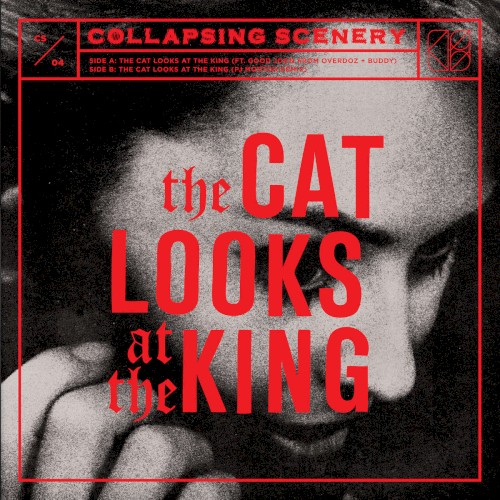 The Cat Looks At The King