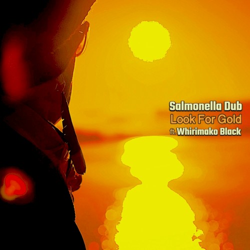 Look For Gold
