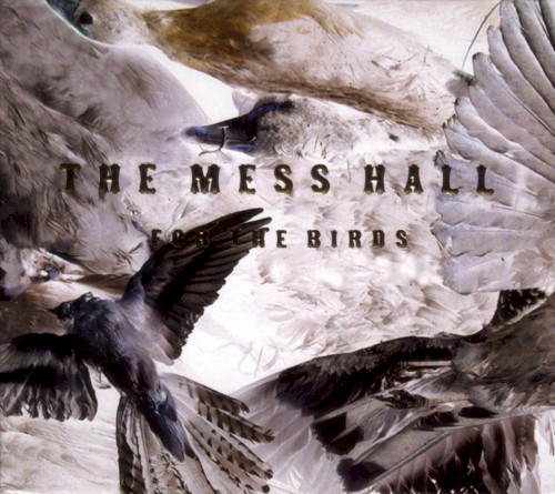 For the Birds