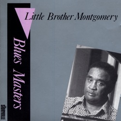 Blues Masters, Vol. 7