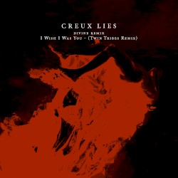 I Wish I Was You (Twin Tribes remix)