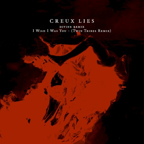 I Wish I Was You (Twin Tribes remix)