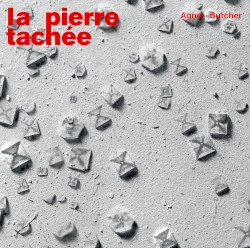 la pierre tachée