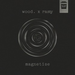 Magnetise
