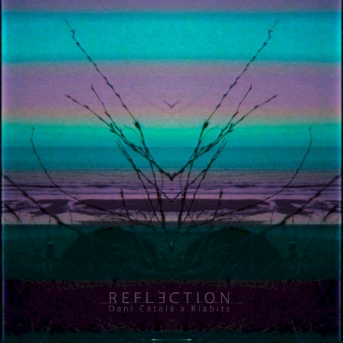 Reflection