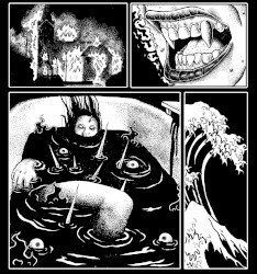 Intercourse / The Asound Split