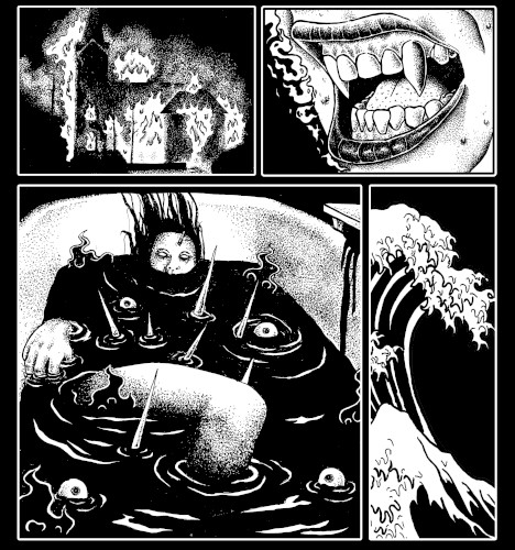 Intercourse / The Asound Split