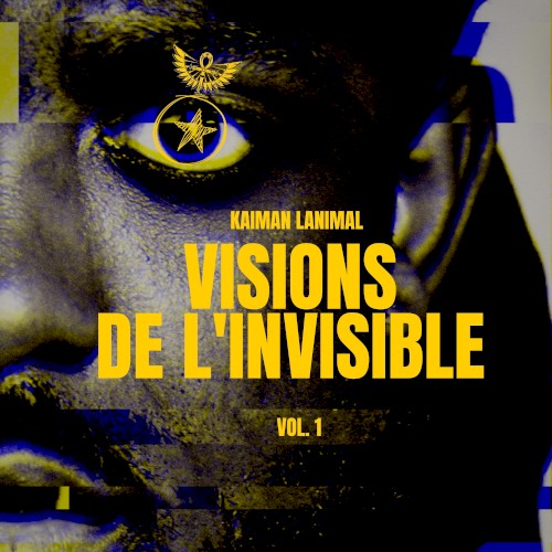 Visions de l’invisible, vol. 1