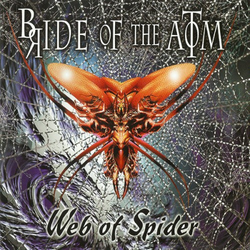 Web Of Spider